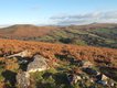 Honeybag Tor to Rippon Tor from Hamel Down.JPG