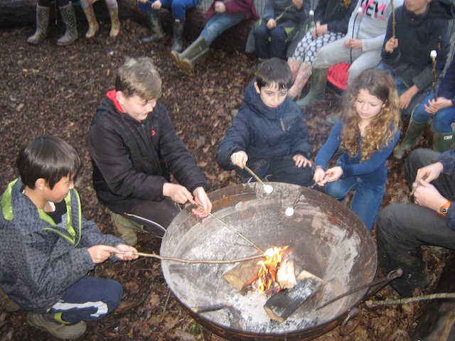 Horrabridge School - toasting marshmallows in the fire pit.jpg