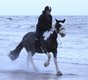 Galloping through the sea on Toby.jpg
