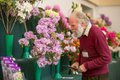 Rosemoor Spring Flower Competitions