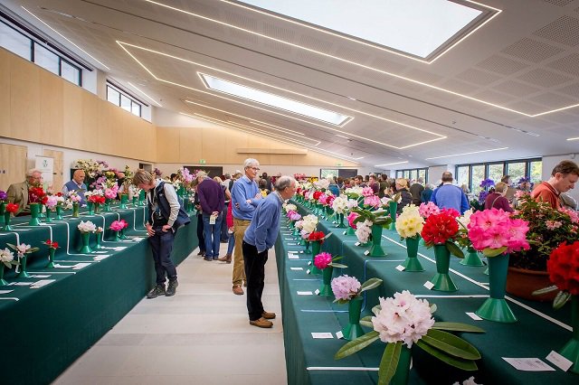 Rosemoor Spring Flower Competitions