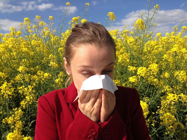 Allergy management and treatment