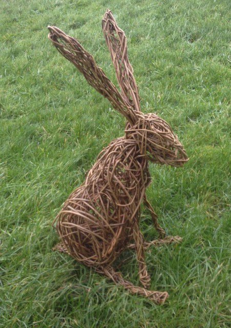 Willow Hare