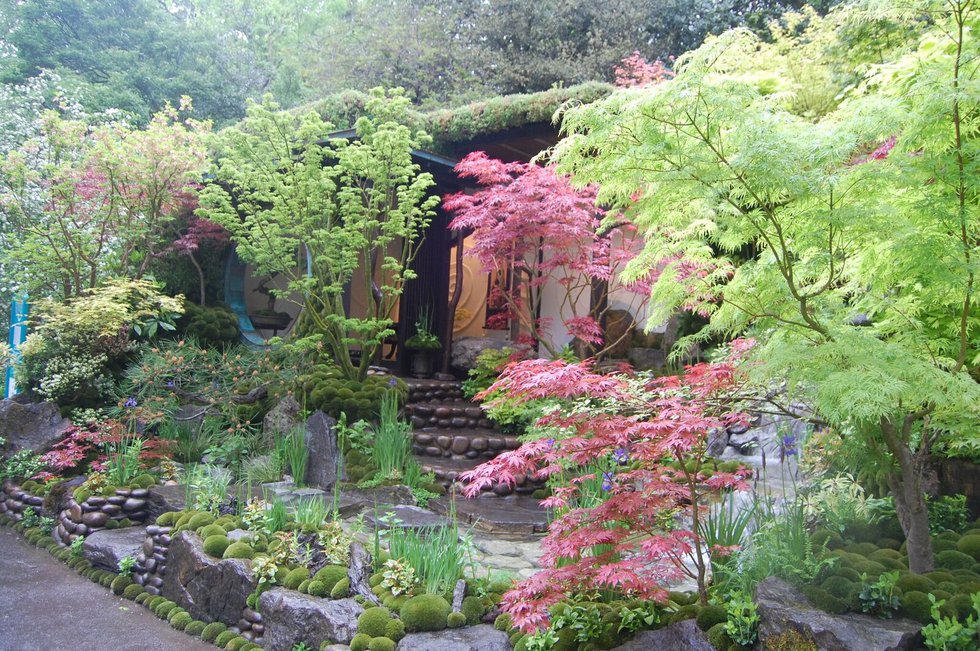 Japanese garden, Chelsea