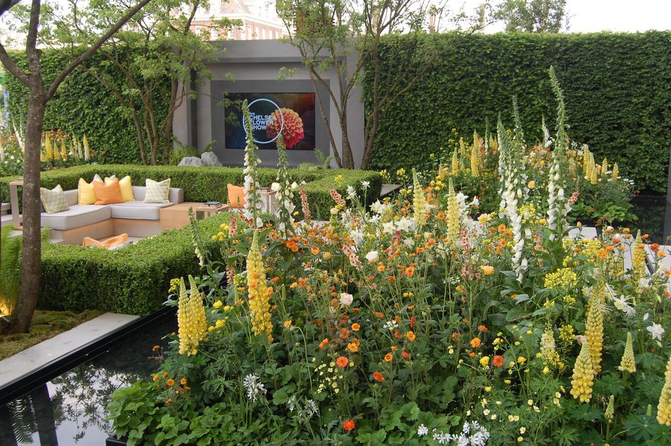 Inspiration from RHS Chelsea Flower Show