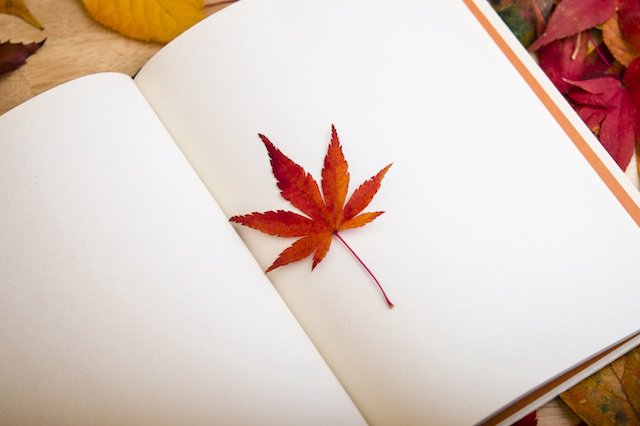 maple-leaf-diary.jpg
