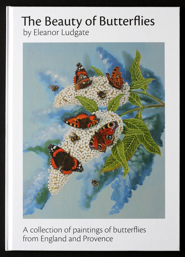 The Beauty of Butterflies, by Eleanor Ludgate