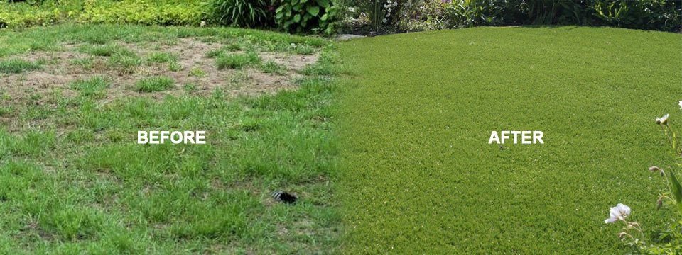 Green Scheme artificial grass
