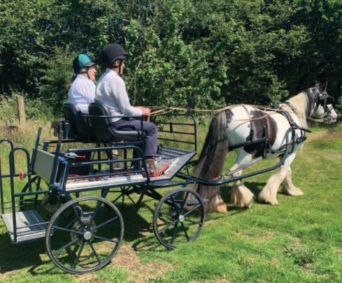 The Tavistock RDA carriage driving group provides adults and young people with the opportunity to learn the skill of carriage driving