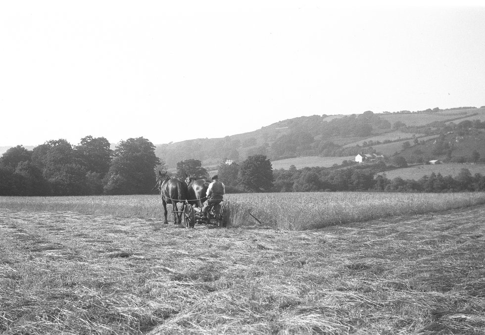 Mowing grass, Drewston 1930s © Martin Perryman Collection