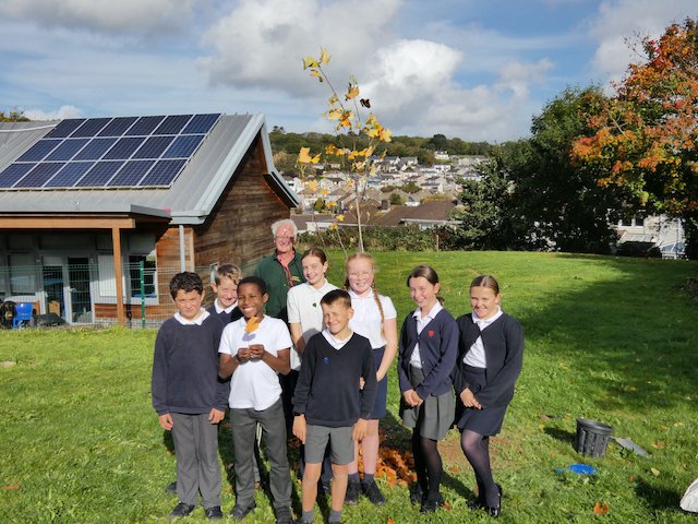 Boringdon primary school plant tree