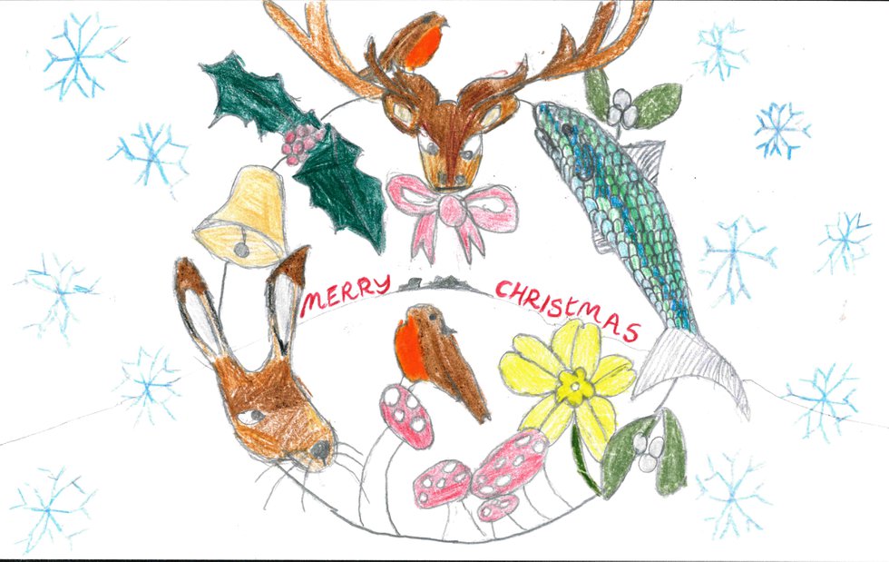 Helpful Holidays Christmas Card competition winning design 2023