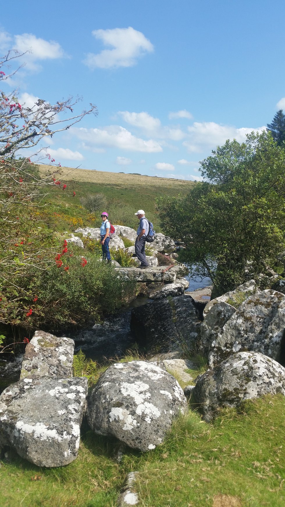 Walking Festival